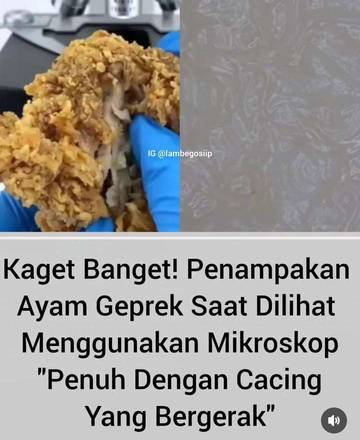 Menyiasati Fenomena Ayam Geprek Penuh Cacing