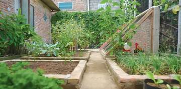 Tips Memulai Integrated Farming Skala Rumah Tangga 