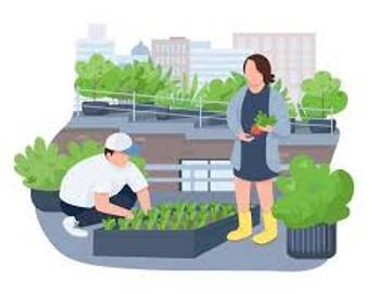 Urban Farming,Cara Anak Muda Bantu Ketahanan Pangan!