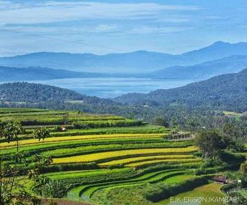 Panorama Kelok Taruko, Pesona Alam Andaleh di Minangkabau