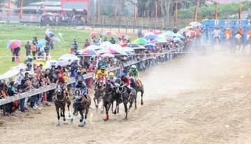 Gelanggang Pacuan Kuda Bukit Ambacang, Ikon Budaya Ekonomi 