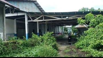 Pemkab SBT Diminta Aktifkan Lagi Cold Storage Kesui 