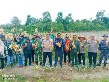 Polres SBT Panen 8 Ton Jagung