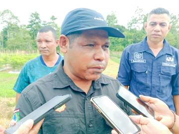 Tahun Lalu Produksi Beras SBT 4 Ribu Ton, Jagung 204 Ton 
