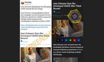 Hoaks Amy Schumer Mengidap VAIDS Akibat Booster Covid-19