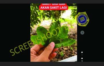 [HOAX] Air Rebusan Daun Jeruk Sembuhkan Sakit Gigi Selamanya