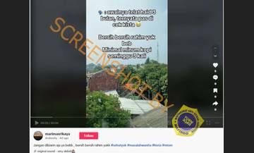 [HOAX] Bersihkan Rahim dari Kista dengan Minum Kopi