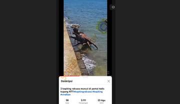 [HOAX] Video 2 Kepiting Raksasa Muncul di Pantai Kupang