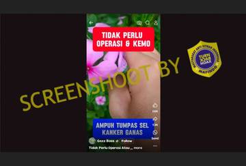 [HOAX] Tanaman Tapak Dara Dapat Menyembuhkan Kanker