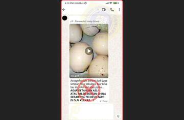 [HOAX] Simpan Telur di Kulkas untuk Ketahui Keasliannya