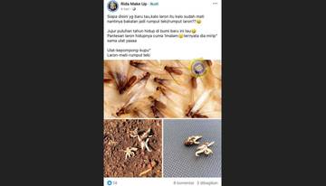 [HOAX] Laron Menjadi Rumput Teki Setelah Mati