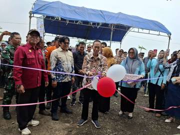 Wisata Baru di Kabupaten Cirebon 'Mangrove Kasih Sayang'
