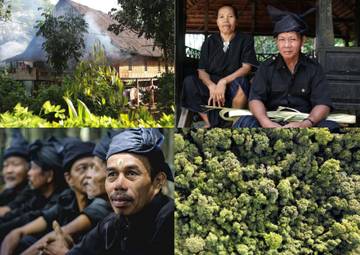 Suku Kajang Dinobatkan sebagai Penjaga Hutan Terbaik Dunia