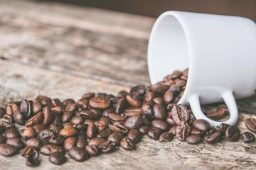 Kopi Luwak Tercatat sebagai Makanan Termahal di Dunia