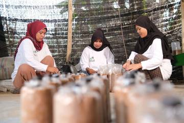 UMKM Tumbuh Bersama PLN, Desa Maju Mandiri