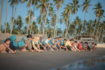 Wisata Edukatif Ewako Lowita Angkat Konservasi Penyu