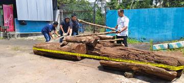 Lima Pelaku Illegal Logging Gunung Ciremai Dibekuk Polisi