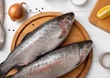 Inilah Perbedaan Signifikan Ikan Dori dan Ikan Patin