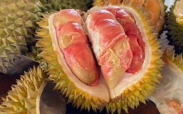 Durian Merah Banyuwangi Resmi Berstatus Indikasi Geografis