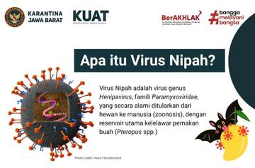 Virus Nipah Diwaspadai, Lalu Lintas Hewan Diawasi Ketat