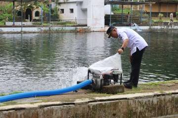 Bupati Kuningan Meminta Penanganan Ikan Dewa Ditangani Serius