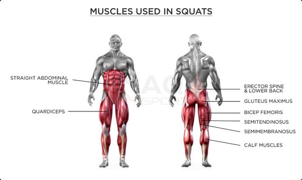 Manfaat Latihan Squat Yang Jarang Diketahui