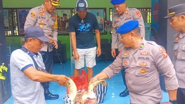 Polisi Buru Terduga Pelaku Penyeludupan, Potongan Satu Ekor Daging Penyu Ditemukan  