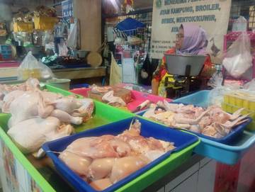 Harga Ayam Potong di Pasar Terus Naik Jelang Lebaran
