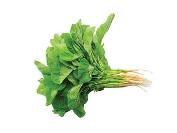 Perjalanan Panjang Sejarah Sayur Bayam