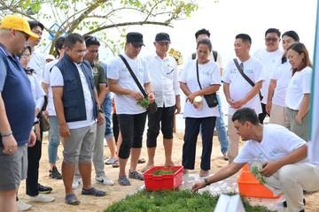 PLN Wujudkan Kemandirian Ekonomi Melalui Panen Rumput Laut
