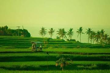 Sampah DiDesa Tuntas DiDesa, Aksi Perubahan Berkelanjutan