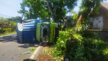 Truk Tabrak Pohon, Dua Bocah dan Ibu Selamat