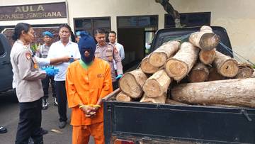 Residivis Kayu-Jati Diciduk, Puluhan Gelondong Hasil Hutan Diamankan