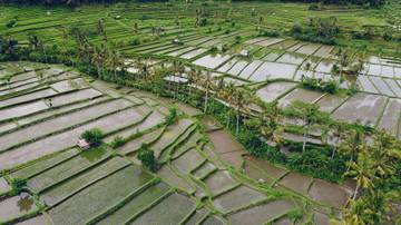 Eksplorasi Wisata Alam Tingkatkan Kesadaran Konservasi