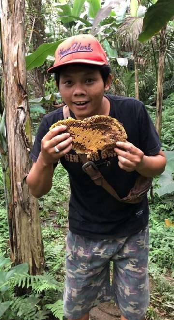 Mengolah Madu dengan Cara Tradisional