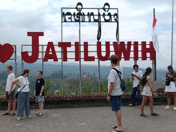Jatiluwih Bangkit Pasca Kunjungan Wistawan Terjun Bebas   