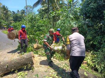 Babinsa Tunjukkan Peran Teritorial  Penanganan Dampak Cuaca Ekstrem 