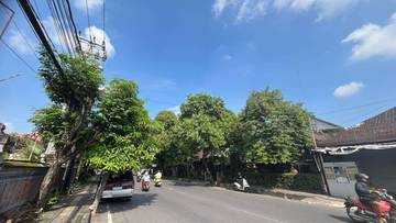  Asuransi Pohon, DLHK Denpasar Anggarkan Rp100 Juta