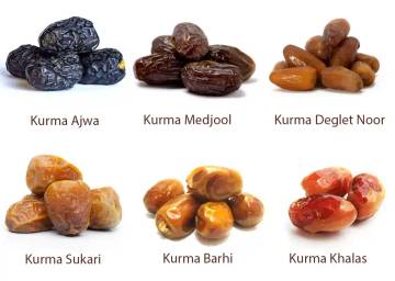 Kurma Buah Gurun Kaya Sejarah dan Manfaat