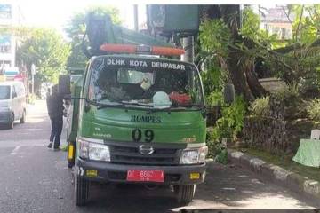 Puncak Musim Hujan, DLHK Denpasar Antisipasi Pohon Tumbang