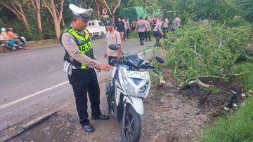 Patah Tangan, Pemotor Banyuwangi Tertimpa Pohon di Gilimanuk