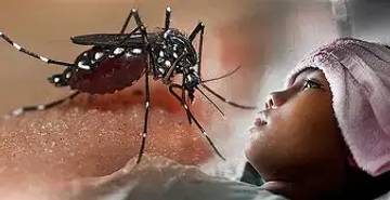 Waspada DBD saat Puncak Musim Hujan