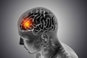 Ancaman "Brain Rot" Dalam Drama Mikro