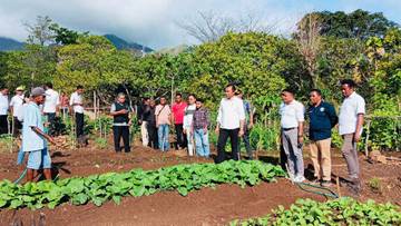 Bedeng Sayur di Solor Selatan Menyambut Peluang Besar