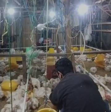 Anzar, Pemuda Lingkungan yang Pulang untuk Membangun Kampung