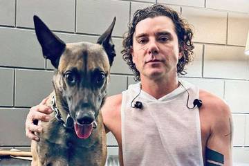 Gavin Rossdale Serukan Adopsi Hewan dari Shelter