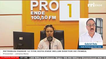 Retribusi Parkir Dua Belas Titik Ende Belum Disetor ke Pemda