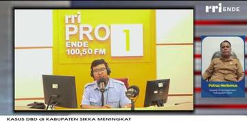 Kasus BDB Sikka Meningkat Dinkes Perkuat Pencegahan