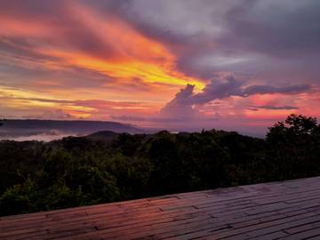 Natadamar: Jogja's Pine Forest Sunset Coffee Escape