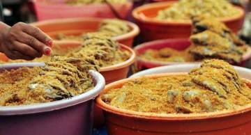 The Delicious Secret of Wadi Ikan, Dayak’s Fermented Culinary Tradition